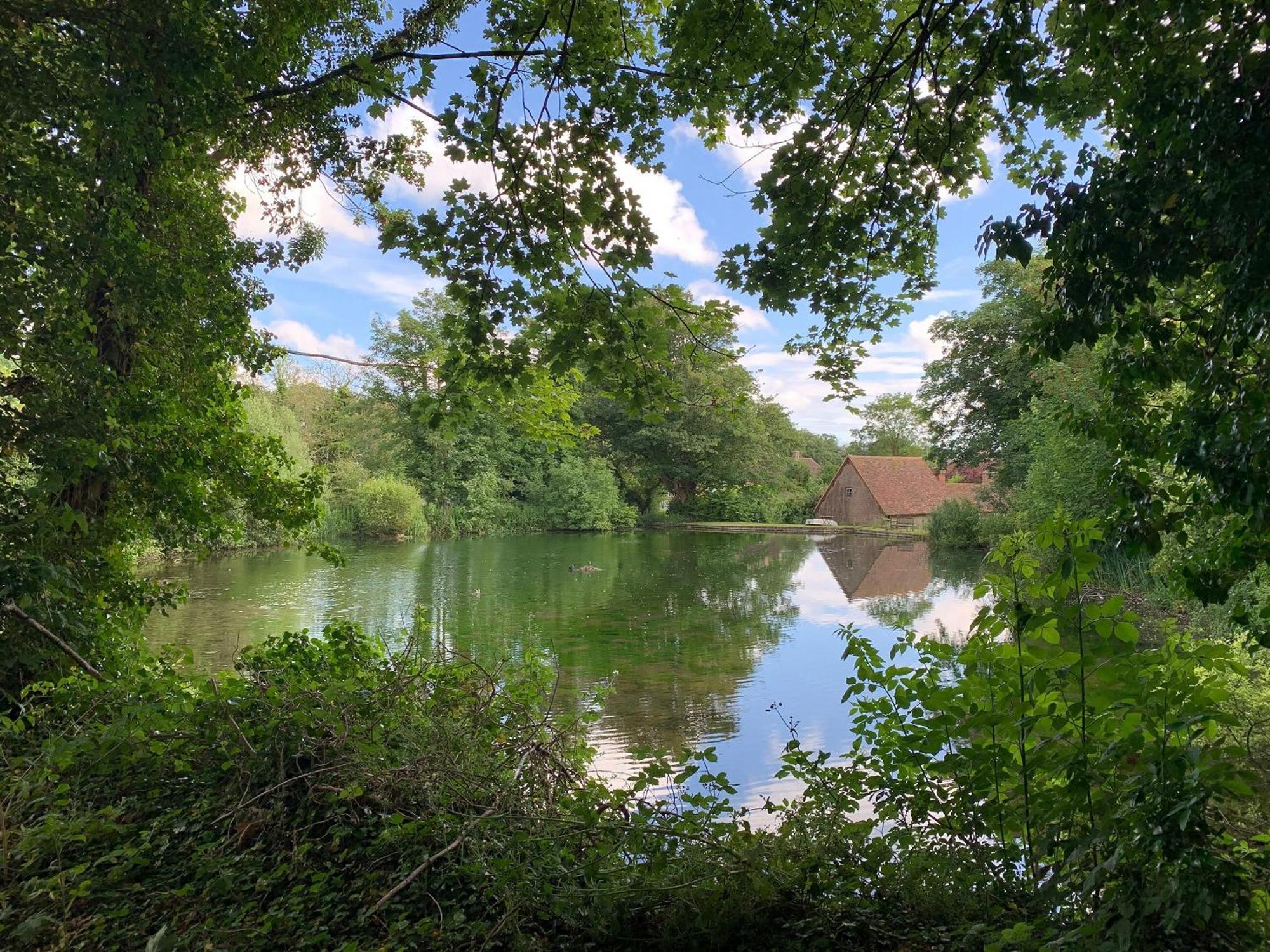 Moorhen Cottage Hollingbourne Exterior foto